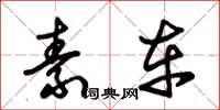 朱锡荣素车草书怎么写