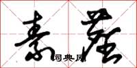 朱锡荣素尘草书怎么写
