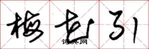 朱锡荣梅花引草书怎么写