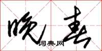 朱锡荣晚春草书怎么写