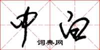 朱锡荣中白草书怎么写
