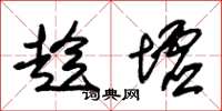 朱锡荣趁墟草书怎么写