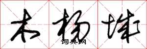 朱锡荣木杨城草书怎么写