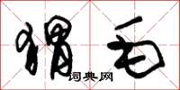 朱锡荣猬毛草书怎么写