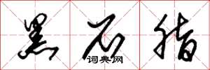 朱锡荣黑石脂草书怎么写