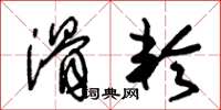 朱锡荣滑轮草书怎么写