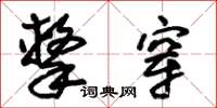 朱锡荣击穿草书怎么写