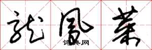 朱锡荣龙凤菜草书怎么写
