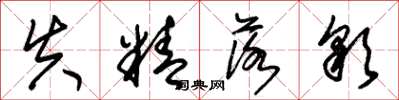 朱锡荣失精落彩草书怎么写
