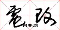 朱锡荣电改草书怎么写