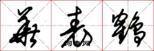 朱锡荣华表鹤草书怎么写