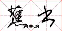 王冬龄蕉书草书怎么写