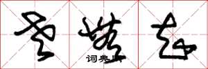 朱锡荣老无知草书怎么写