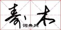 朱锡荣寿木草书怎么写