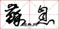 朱锡荣苏息草书怎么写