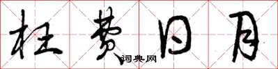 曾庆福枉费日月草书怎么写