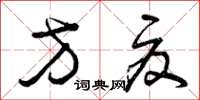 曾庆福方夏草书怎么写