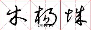 曾庆福木杨城草书怎么写