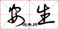 曾庆福安生草书怎么写