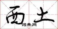 曾庆福西土草书怎么写