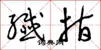 曾庆福纤指草书怎么写