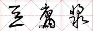 曾庆福豆腐浆草书怎么写
