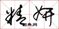 朱锡荣精妍草书怎么写