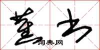 朱锡荣蕉书草书怎么写