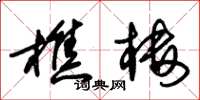 朱锡荣樵楼草书怎么写