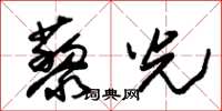 朱锡荣藜光草书怎么写