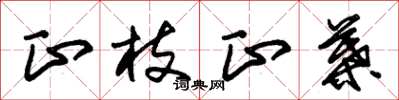 朱锡荣正枝正叶草书怎么写