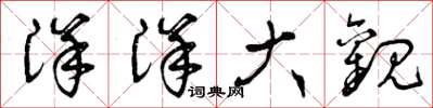 曾庆福洋洋大观草书怎么写