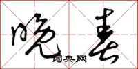 曾庆福晚春草书怎么写