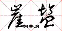 曾庆福崖盐草书怎么写