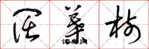 曾庆福阔叶树草书怎么写
