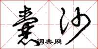 曾庆福囊沙草书怎么写