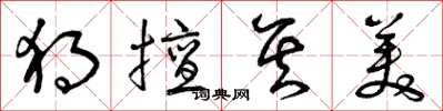 曾庆福独擅其美草书怎么写