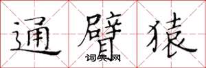黄华生通臂猿楷书怎么写