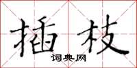 黄华生插枝楷书怎么写