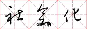梁锦英社会化草书怎么写