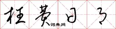 梁锦英枉费日月草书怎么写