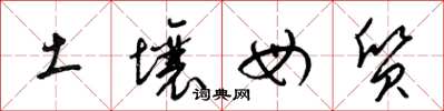 梁锦英土壤母质草书怎么写