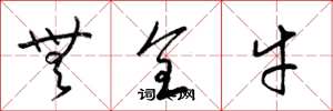 梁锦英无全牛草书怎么写