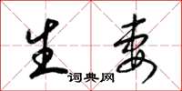 梁锦英生妻草书怎么写
