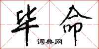 钱沛云毕命行书怎么写