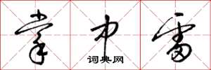 梁锦英掌中雷草书怎么写