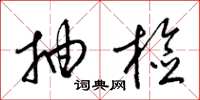 梁锦英抽检草书怎么写