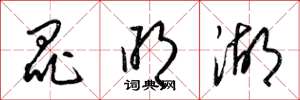 梁锦英昆明湖草书怎么写