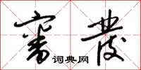 梁锦英审发草书怎么写