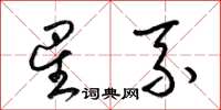 梁锦英星系草书怎么写